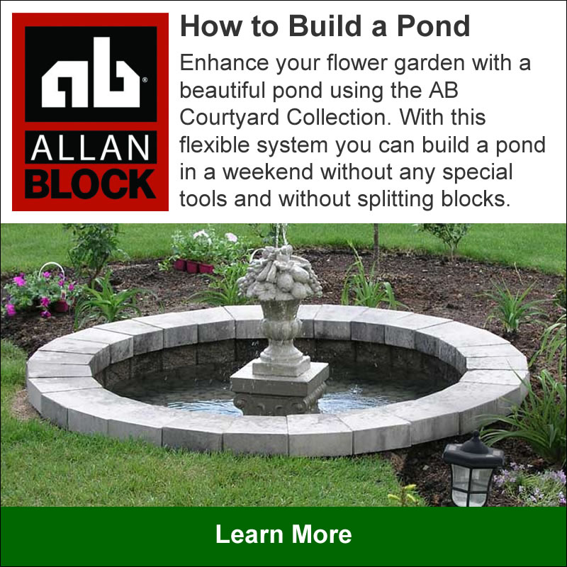 How to Build a Pond